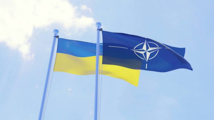 "Це основа для розбудови потужної держави", - прикарпатський політолог Ігор Доцяк про вступ України в НАТО