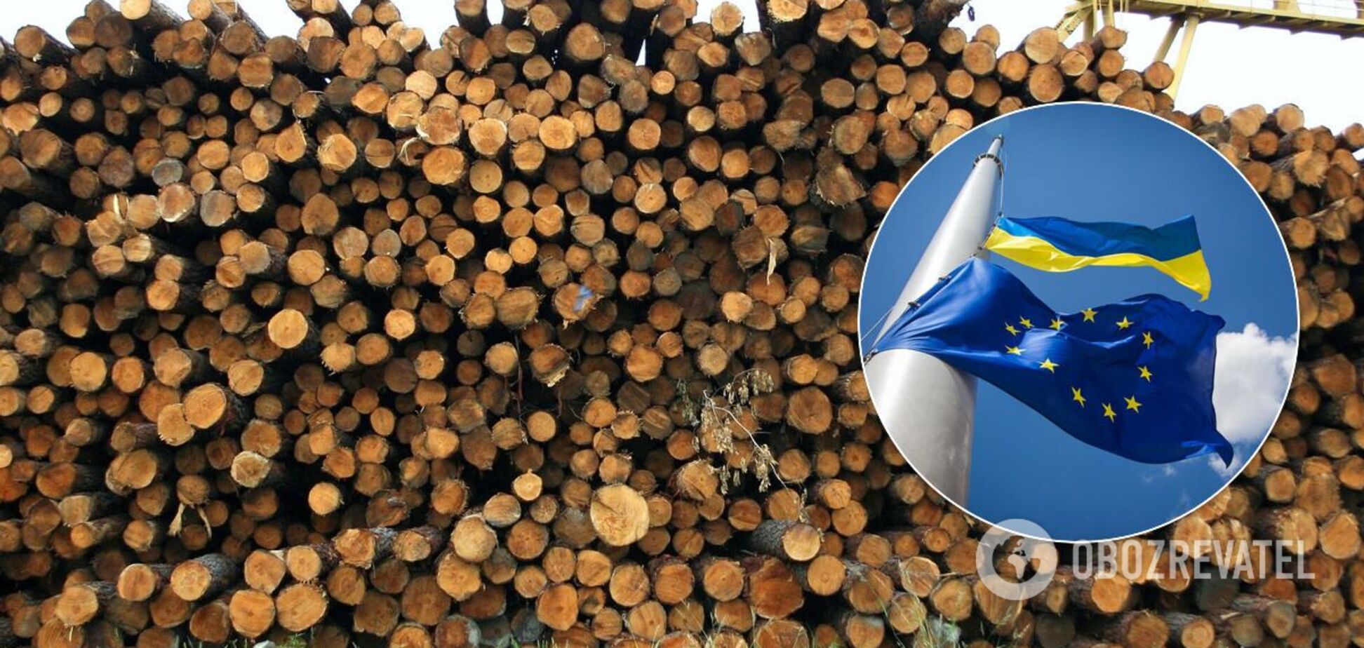 В Україні можуть зняти мораторій на експорт лісу